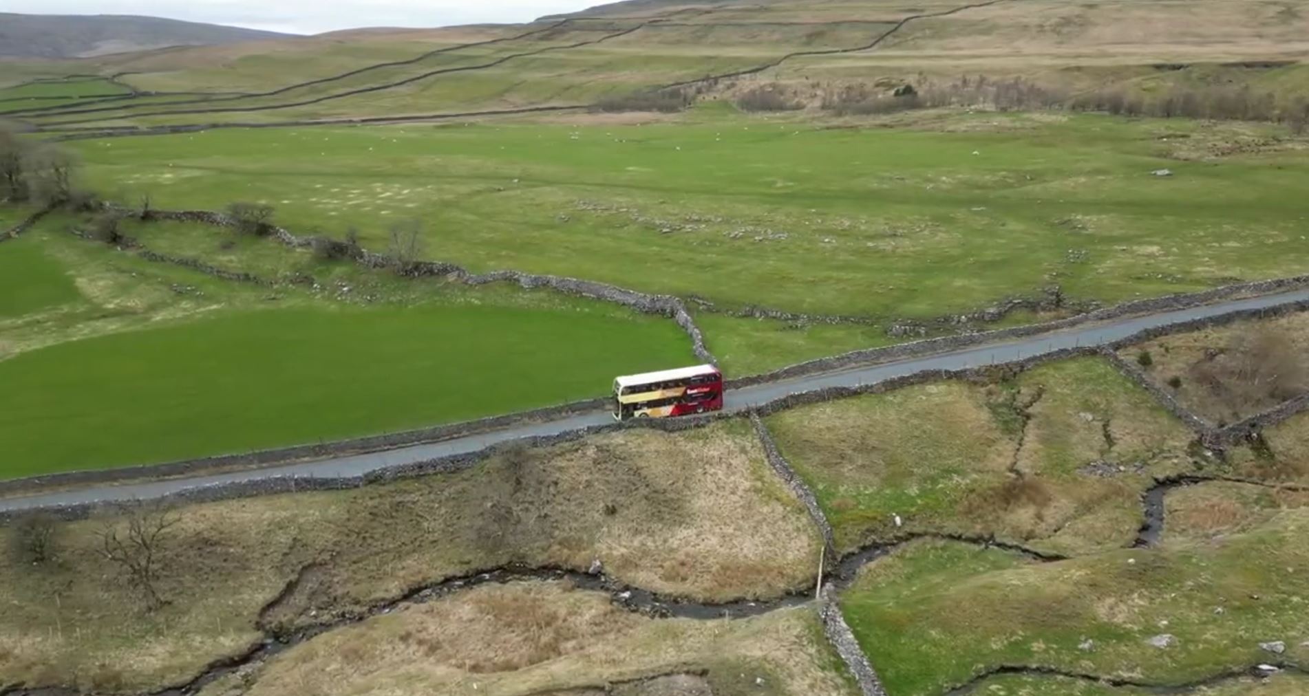 Dales Bus