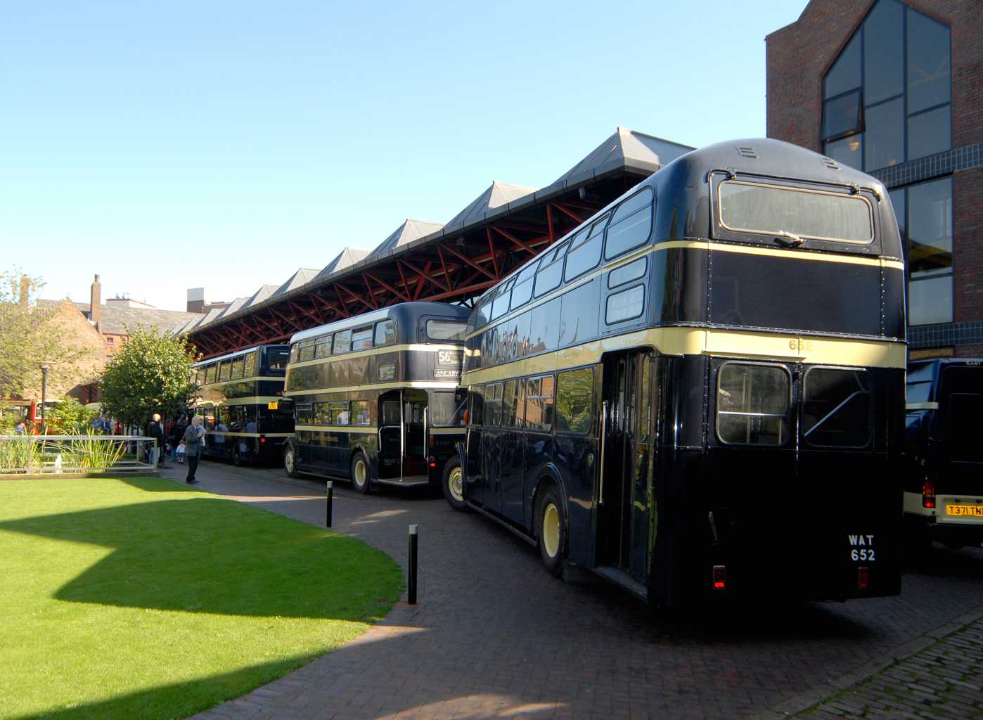 buses