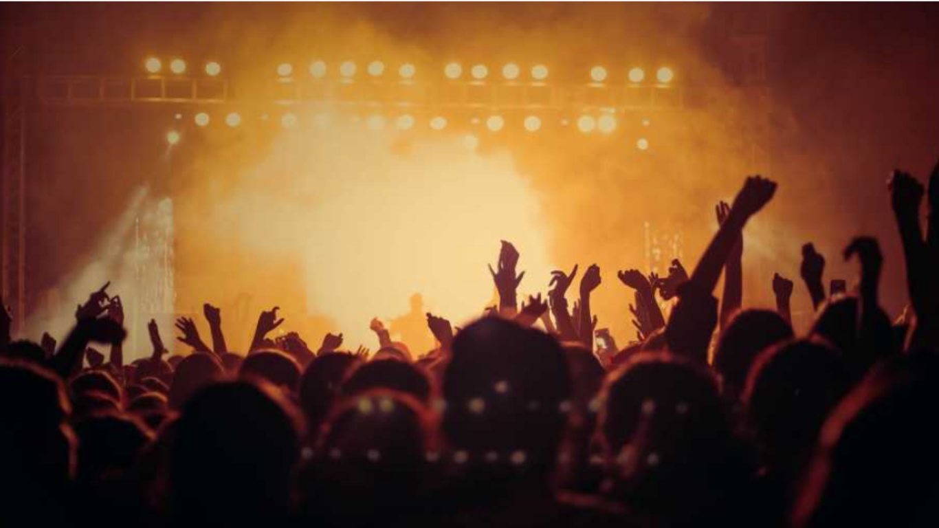 image of a concert