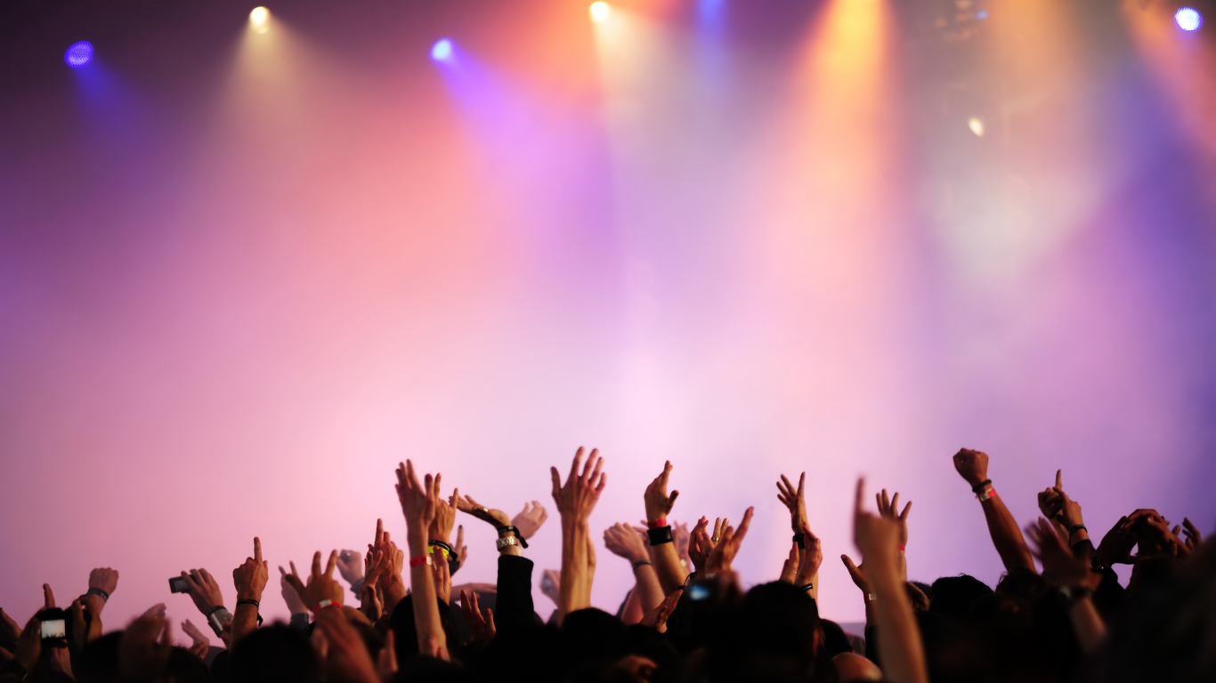 concert crowd