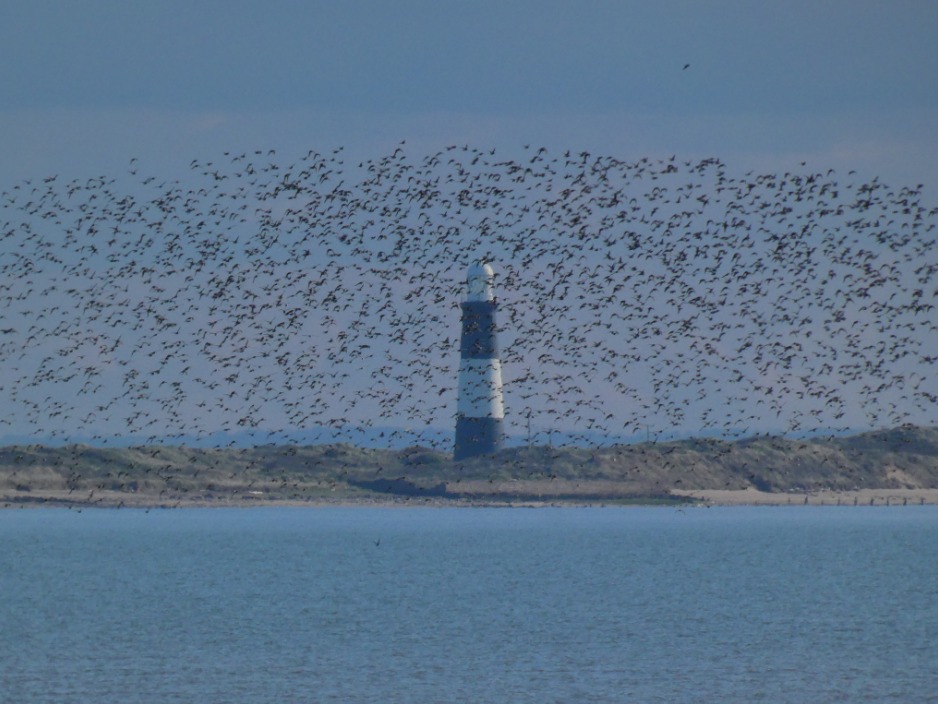 Spurn